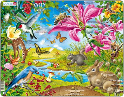Prírodopis – Semená rastlín, kolobeh semien v prírode, zvieratá a rastliny na lúke – Náučné obrázkové puzzle