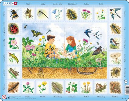 Prírodoveda – Deti na lúke a lúčne zvieratá a kvety, lienka, čmeliak, lastovička, vrabec – Náučné obrázkové puzzle