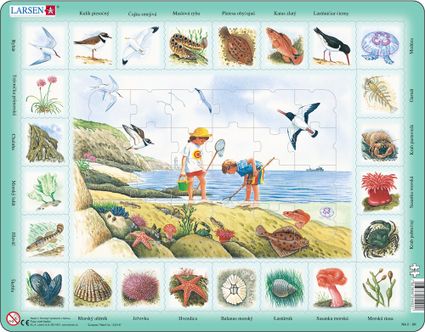 Prírodoveda – Deti na morskom pobreží, morské živočíchy, ryby, vtáky, riasy – Náučné obrázkové puzzle