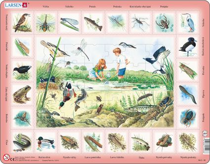 Prírodoveda – Deti pri jazere, rybníku, sladkovodné živočíchy, ryby, vtáky, rastliny – Náučné obrázkové puzzle