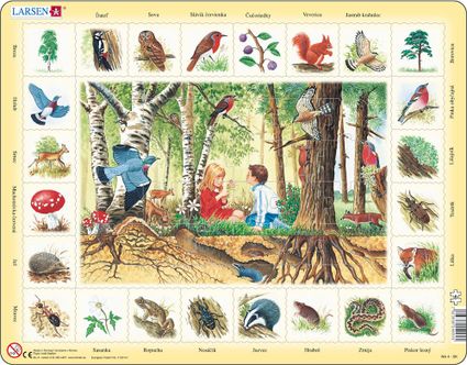 Prírodoveda – Deti v lese, lesné zvieratá a rastliny, ďateľ, sova, jež, srnec, líška, mravec – Náučné obrázkové puzzle