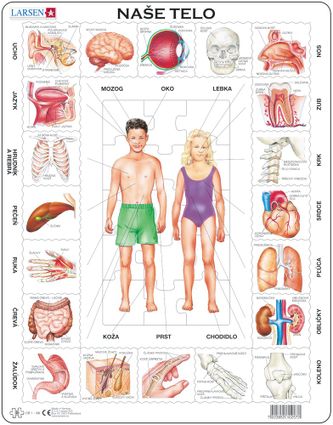 Prírodoveda – Spoznaj naše ľudské telo, zloženie, stavba ľudského tela – Náučné obrázkové puzzle