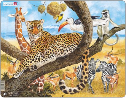 Zvieratá exotické – Africká savana, obdobie sucha, leopard, žirafy, zebry, gazely – Obrázkové puzzle