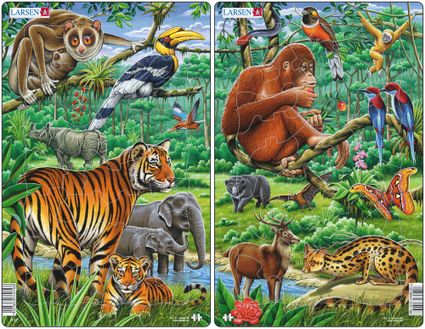 Zvieratá exotické – Ázijská džungľa, tropický dažďový prales – Obrázkové puzzle – JEDNO z 2 puzzle na obrázku VPRAVO