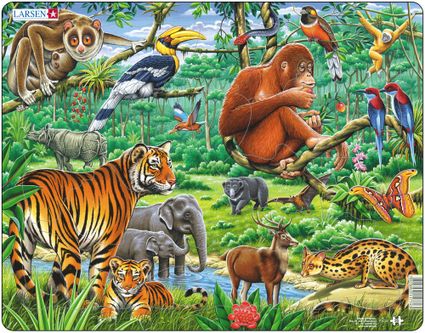 Zvieratá exotické – Džungľa, tropický dažďový prales v ázii, tigre, slony, opice, medveď, jeleň – Obrázkové puzzle