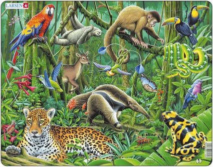 Zvieratá exotické – Juhoamerická džungľa, tropický dažďový prales, leopard, leňochod, mravčiar – Obrázkové puzzle