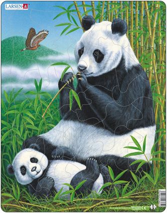 Zvieratá exotické – Pandy, panda a mláďatko pandy leží v tráve – Obrázkové puzzle