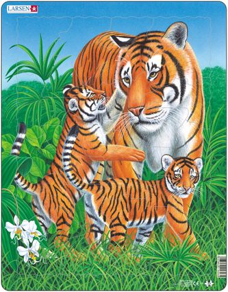 Zvieratá exotické – Tigre, tigrica a tigríčatá sa spolu hrajú v tráve – Obrázkové puzzle