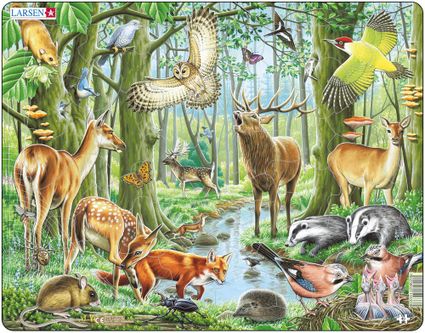 Zvieratá lesné – Európsky les, jeleň, srnec, sova, jež, ďateľ, žlna, daniel, sojka, plch, roháč – Obrázkové puzzle