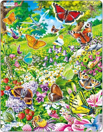 Zvieratá lúčne – Motýle na lúke, lúčne rastliny a kvety – Obrázkové puzzle