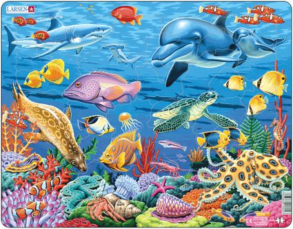 Zvieratá morské – Koralový útes, delfíny, žraloky, ryby, morský koník, korytnačka, chobotnica – Obrázkové puzzle