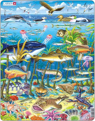 Zvieratá morské – morské ryby, vtáky, riasy, koraly, medúzy, hviezdice, kosatka – Obrázkové puzzle