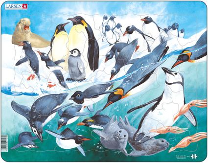 Zvieratá morské – Tučniaky na snehu, tulene plávajú v studenom mori – Obrázkové puzzle