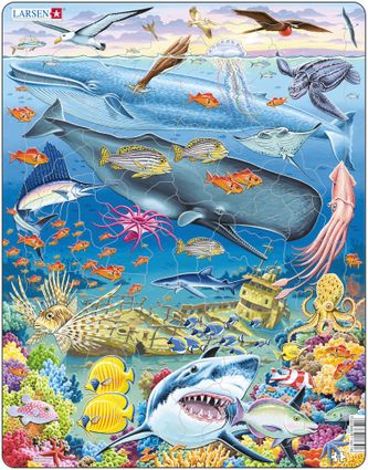 Zvieratá morské – Veľryby, vorvaň, vráskavec, žraloky, raja, ryby, koralový útes, vrak lode – Obrázkové puzzle
