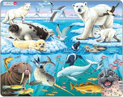Zvieratá severské – Arktický ľadovec, severné more, ľadové medvede – Obrázkové puzzle