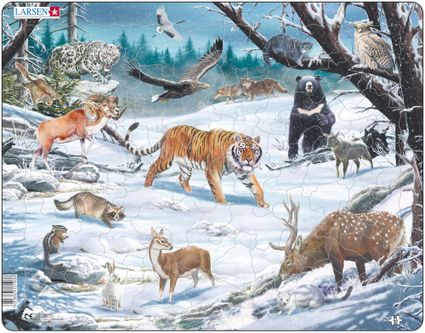 Zvieratá severské – Zasnežený sibírsky les v zime, tiger, leopard, medveď, daniel, muflón – Obrázkové puzzle