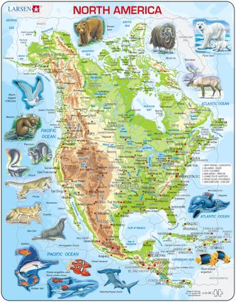 Mapy – Amerika Severná, fyzická všeobecno zemepisná mapa so zvieratami – Zemepis, zemepisné puzzle
